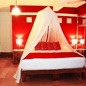 Suite Master con Cama King